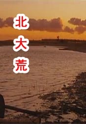 2022国内精品免费福利视频